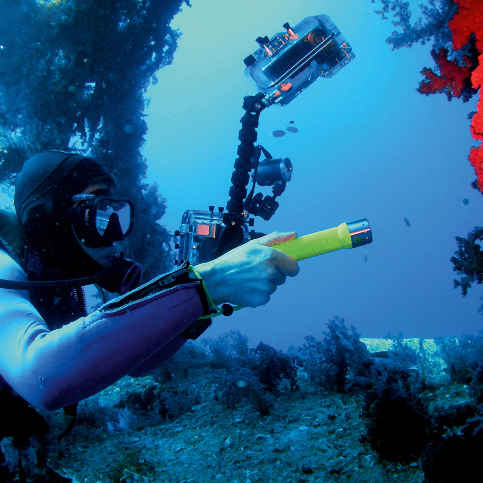 D14.2 Battery Operated Torch - Image 3