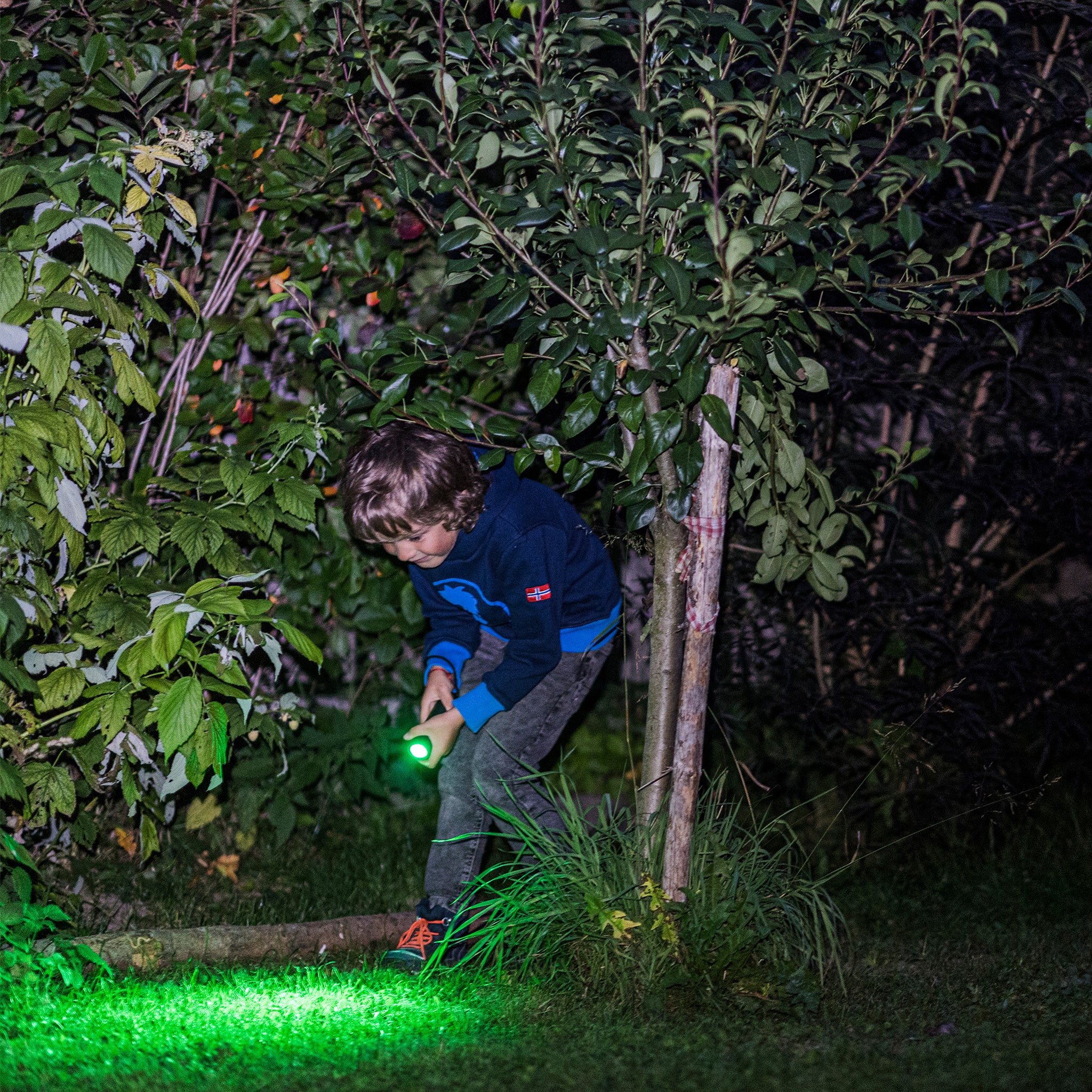 Kidbeam4 Torch - Image 9